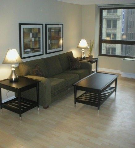 אפרטהוטל שיקגו Oakwood At Millennium Park Plaza מראה חיצוני תמונה